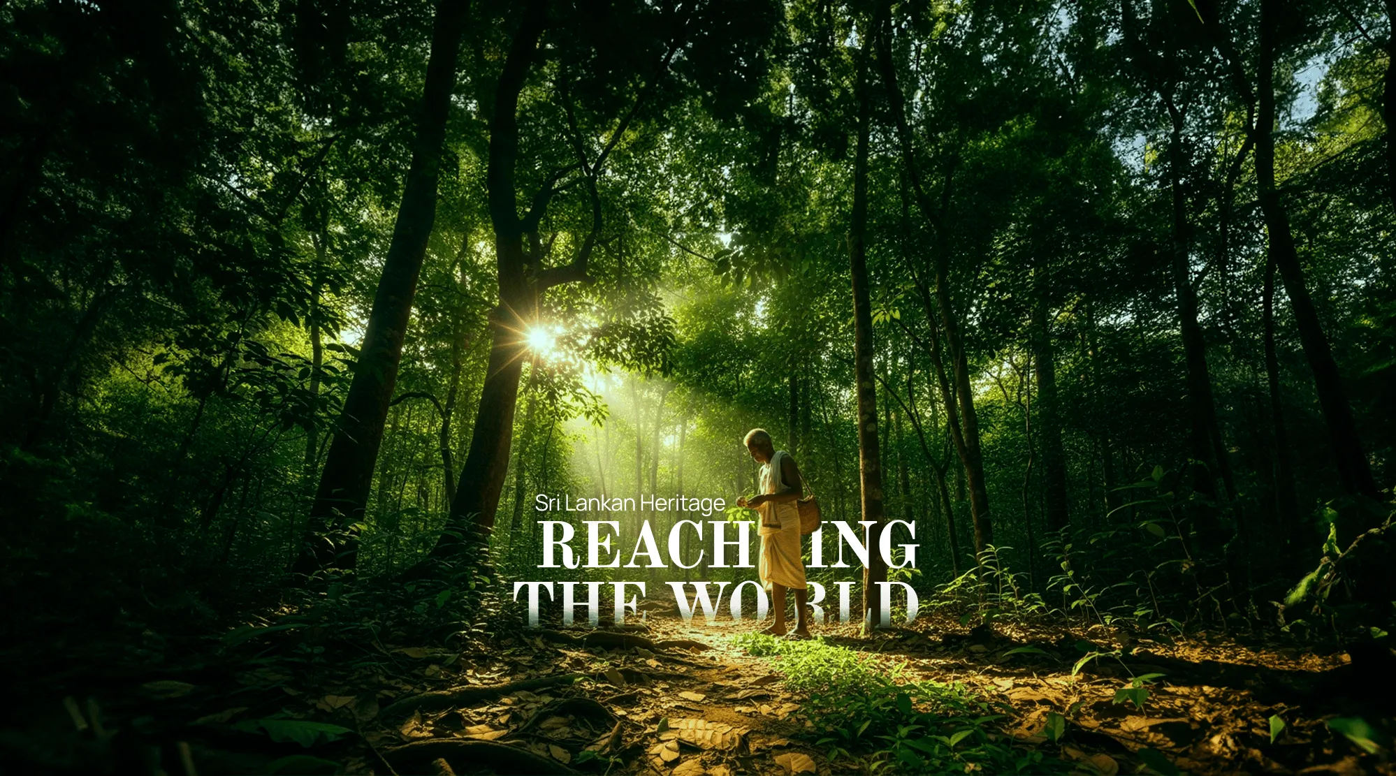 The World Background