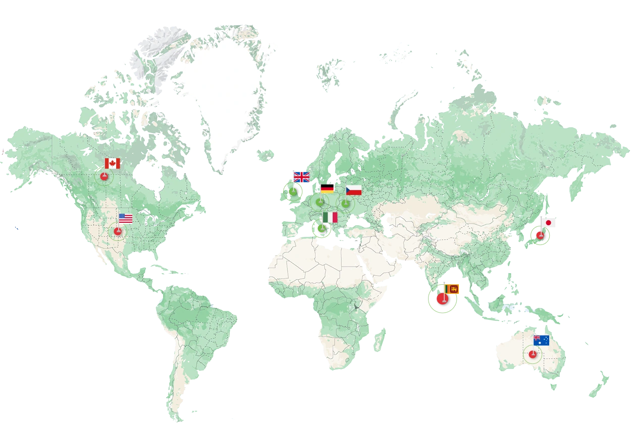 The World Map